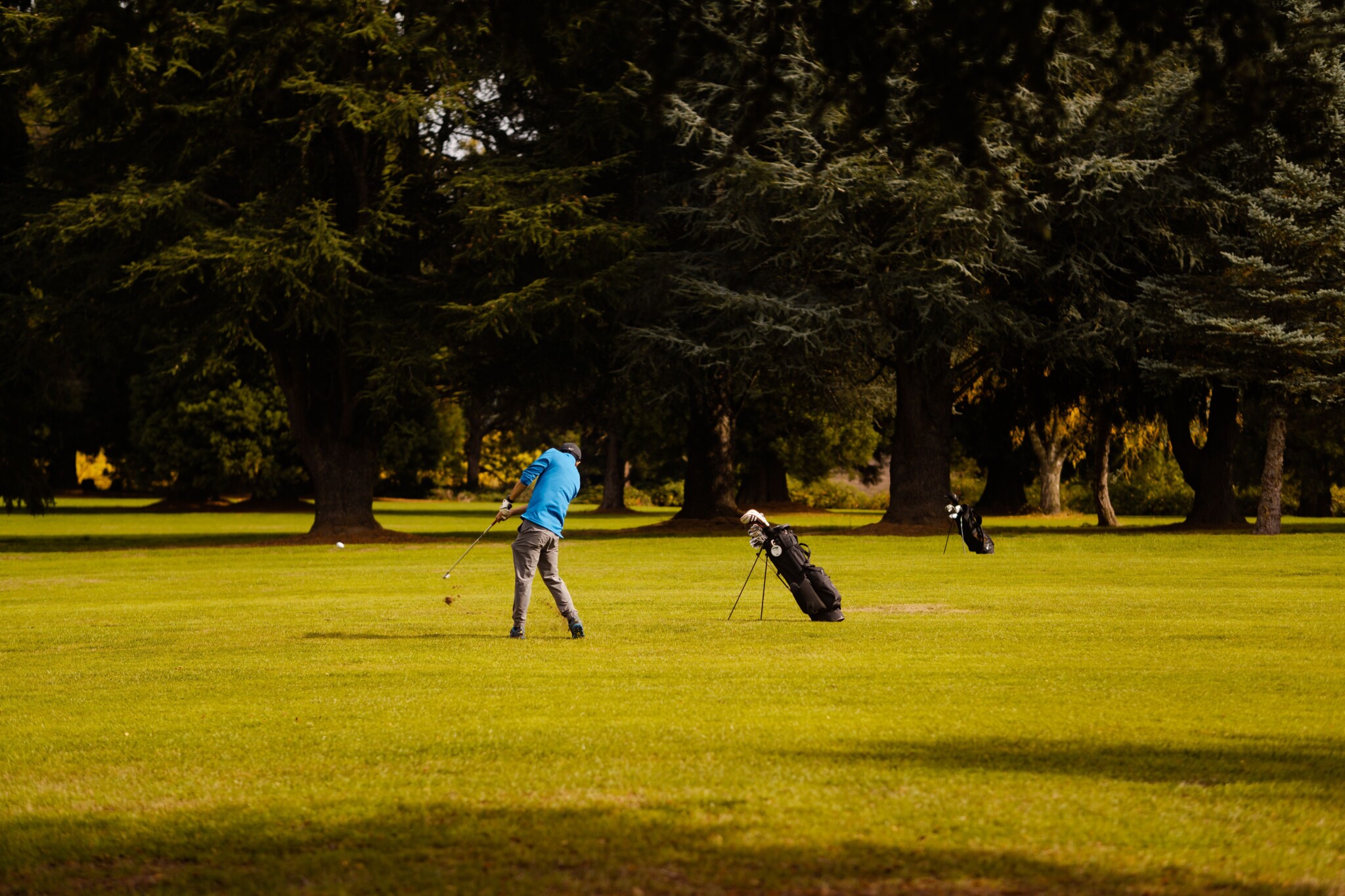 Golfer on a golf course
